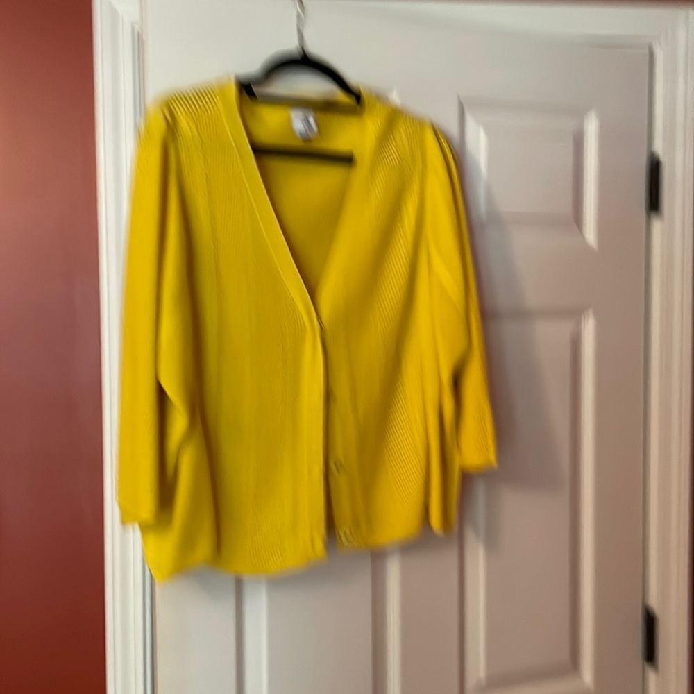 Cabi sunshine sweater